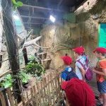 aquarium 3