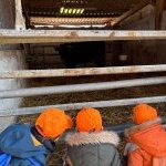 Visite écurie 2