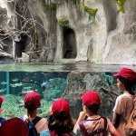aquarium