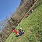 sortie nature 6 11 1