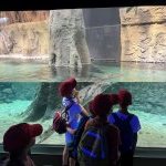 aquarium 2
